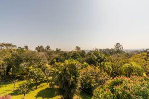Image 36 - 216600