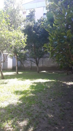 Image 34 - 216620