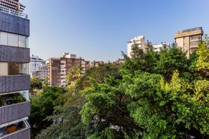 Image 19 - 216635