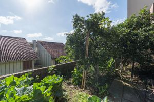 Image 45 - 216636