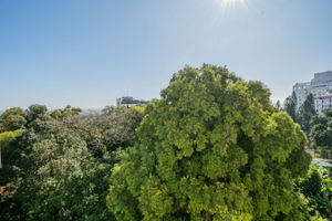 Image 17 - 217249