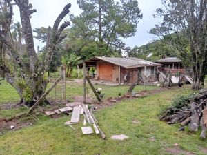 Image 4 - 217635