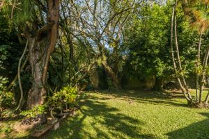 Image 52 - 217640