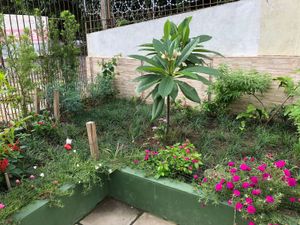 Image 14 - 217901