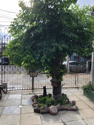 Image 13 - 217901