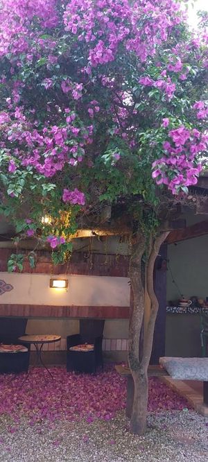 Image 17 - 218214