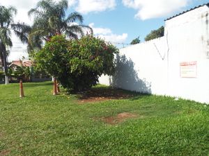 Image 40 - 218232