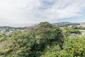 Image 4 - 218268