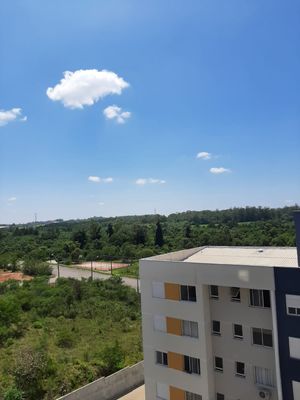 Image 15 - 218343