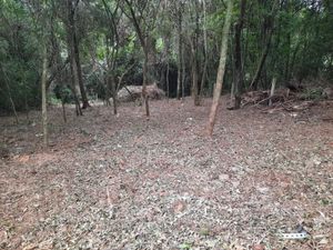 Image 3 - 218357