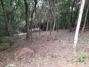 Image 1 - 218357