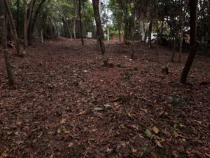 Image 6 - 218357