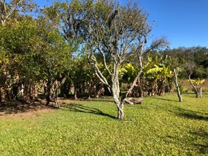 Image 4 - 218421