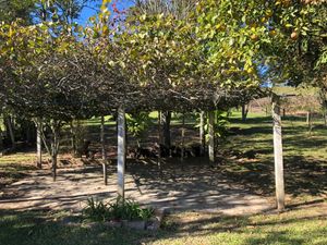 Image 7 - 218421
