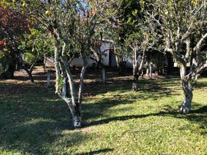 Image 8 - 218421