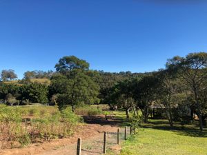 Image 10 - 218421