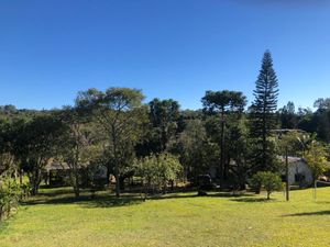 Image 21 - 218421