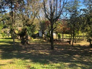 Image 24 - 218421