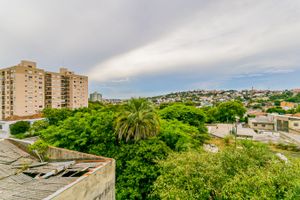 Image 48 - 218485