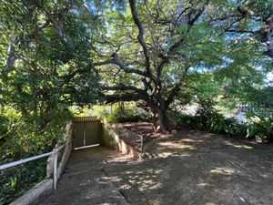 Image 20 - 218709