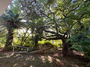 Image 3 - 218709
