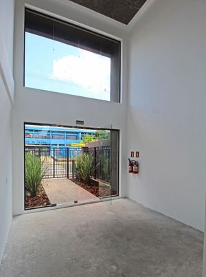 Image 3 - 218768