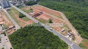 Image 5 - 218786
