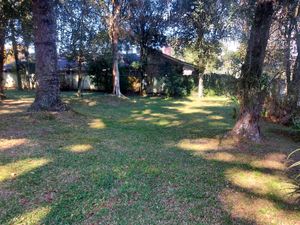 Image 25 - 218816