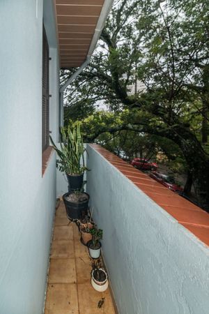 Image 19 - 218929