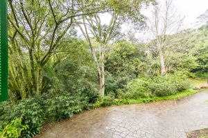 Image 45 - 218956