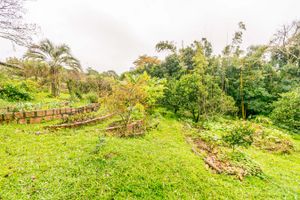 Image 62 - 218956