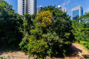 Image 11 - 219083
