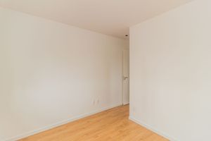 Image 15 - 219115