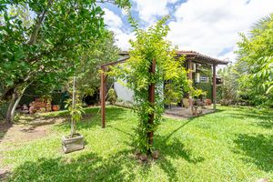 Image 19 - 219142