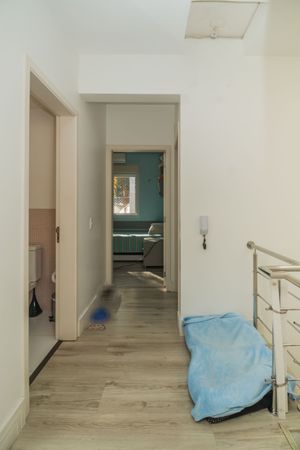 Image 32 - 219403