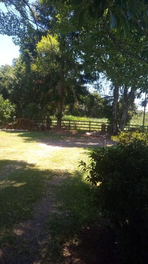 Image 3 - 219429