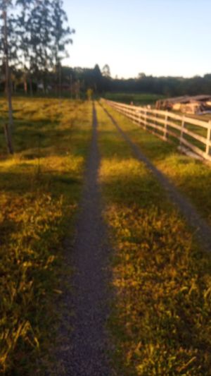 Image 7 - 219429