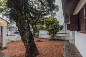 Image 33 - 219611