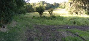 Image 12 - 219678