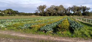 Image 1 - 219678
