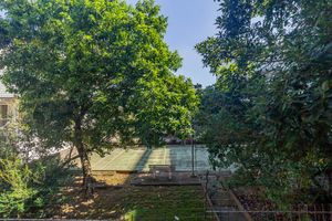Image 19 - 219856