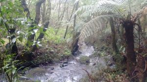 Image 11 - 220541