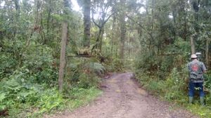 Image 8 - 220541