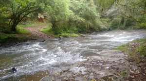 Image 3 - 220541
