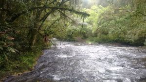 Image 10 - 220541