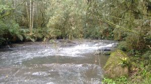 Image 5 - 220541