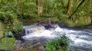 Image 13 - 220541