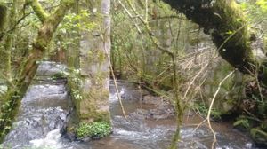 Image 7 - 220541