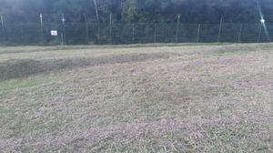 Image 1 - 220554