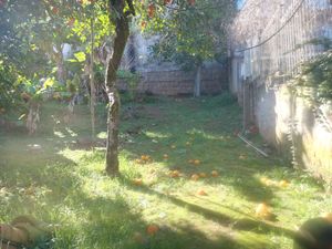 Image 10 - 220746